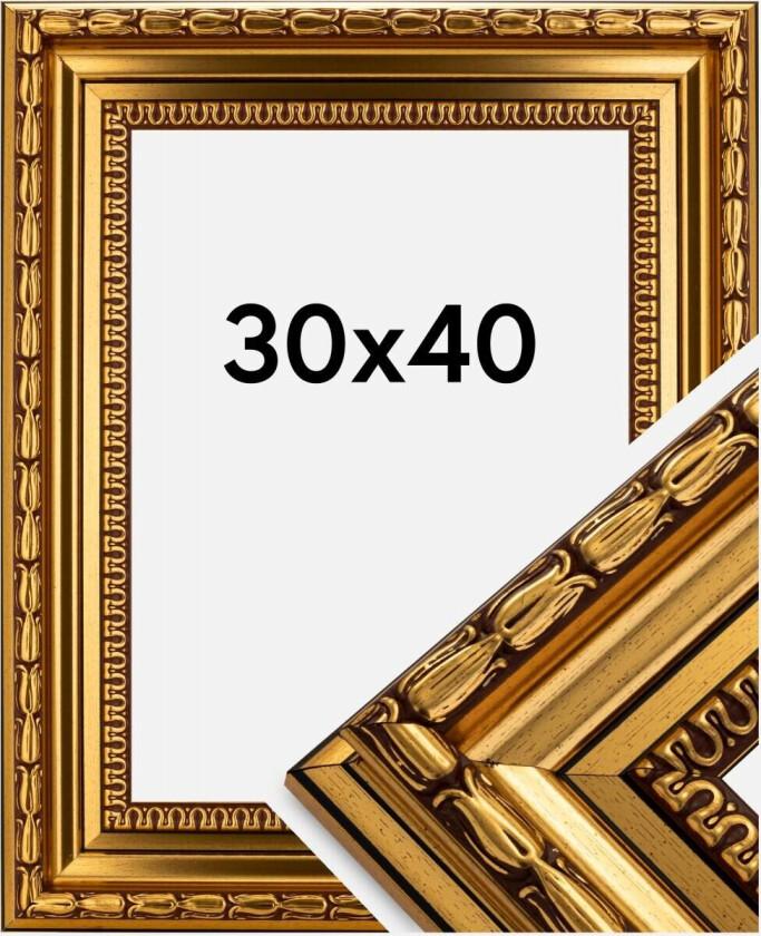 Ramme Birka Premium Gull 30x40 Cm