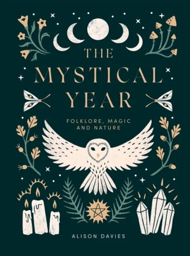 The Mystical Year av Alison Davies