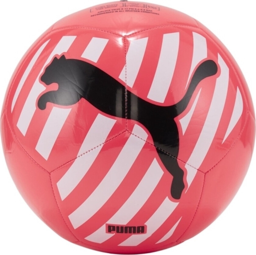 Puma Fotball Puma Big Cat Rosa 83994 05 3