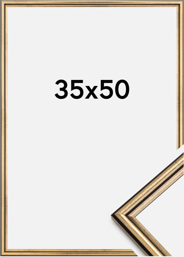 Ramme Horndal Akrylglass Gull 35x50 Cm