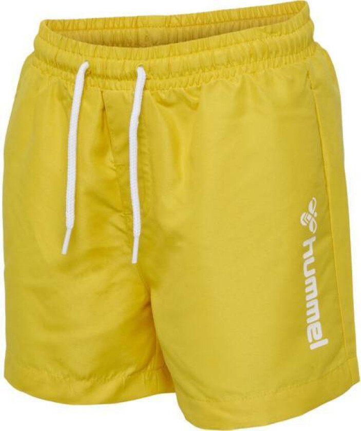 Bondi Board Shorts Solar Power