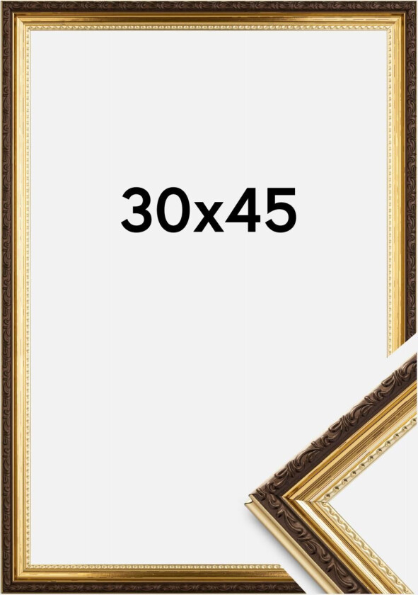 Ramme Abisko Akrylglass Gull 30x45 Cm