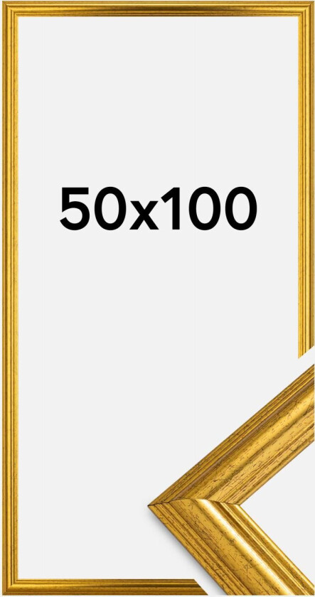 Ramme Västkusten Akrylglass Gull 50x100 Cm