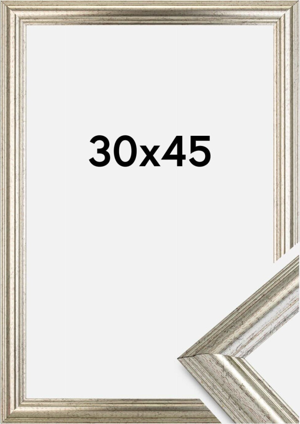 Ramme Västkusten Akrylglass Sølv 30x45 Cm