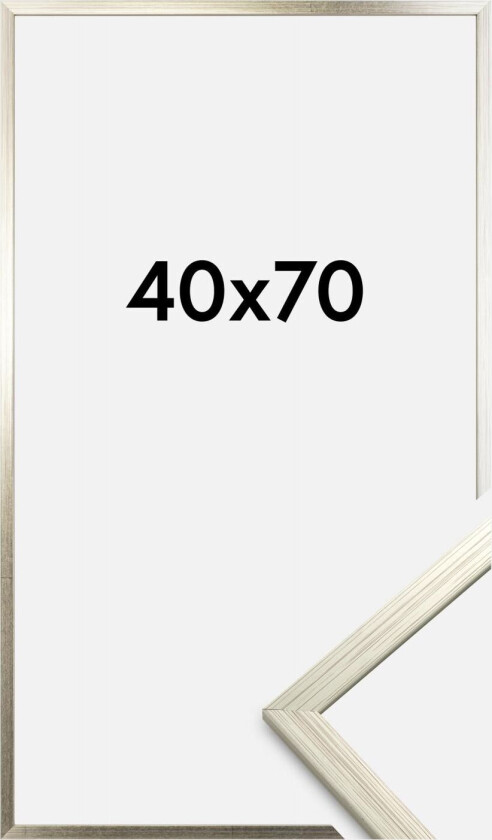 Ramme Edsbyn Akrylglass Sølv 40x70 Cm