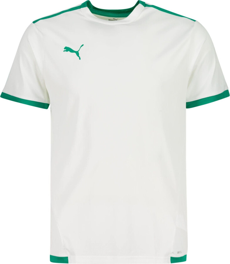 teamLIGA Jersey, t-skjorte herre  White-Pepper Gr