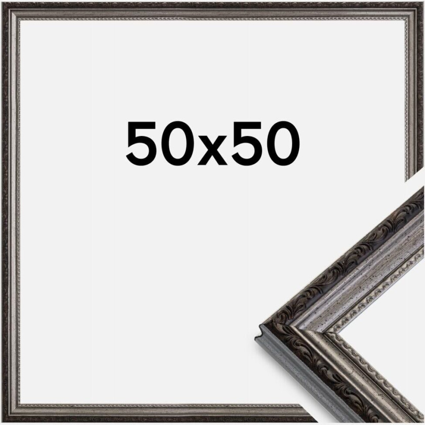 Ramme Abisko Akrylglass Sølv 50x50 Cm