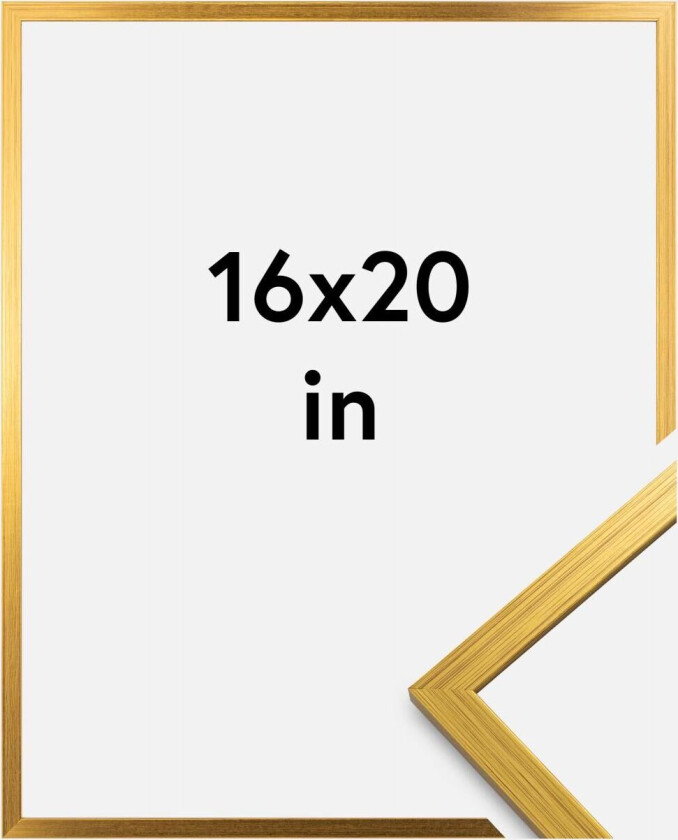 Ramme Edsbyn Akrylglass Gull 16x20 Inches (40,64x50,8 Cm)
