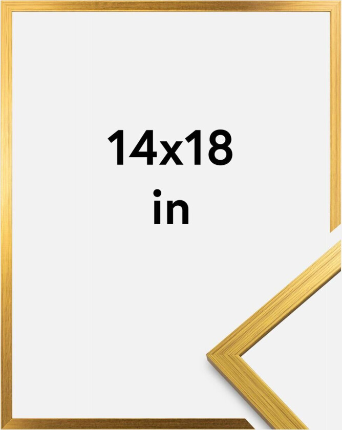 Ramme Edsbyn Gull 14x18 Inches (35,56x45,72 Cm)