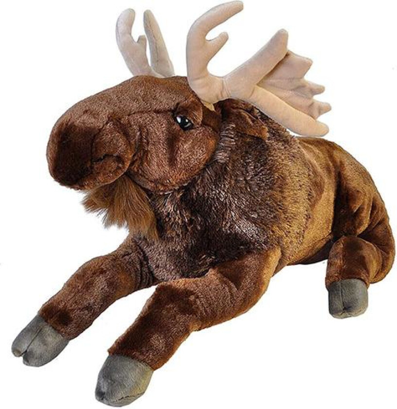 Moose, Elg