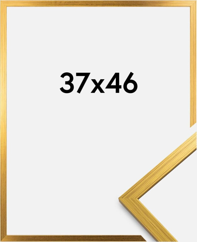 Ramme Edsbyn Gull 37x46 Cm