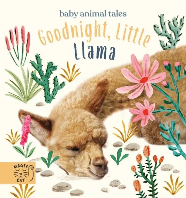 Goodnight, Little Llama av Amanda Wood
