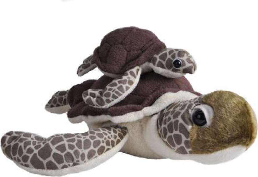 Sea Turtle - Mom & Baby, Skilpadde