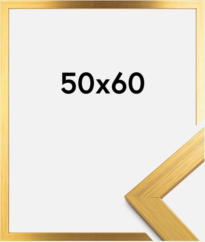 Ramme Gold Wood Akrylglass 50x60 Cm