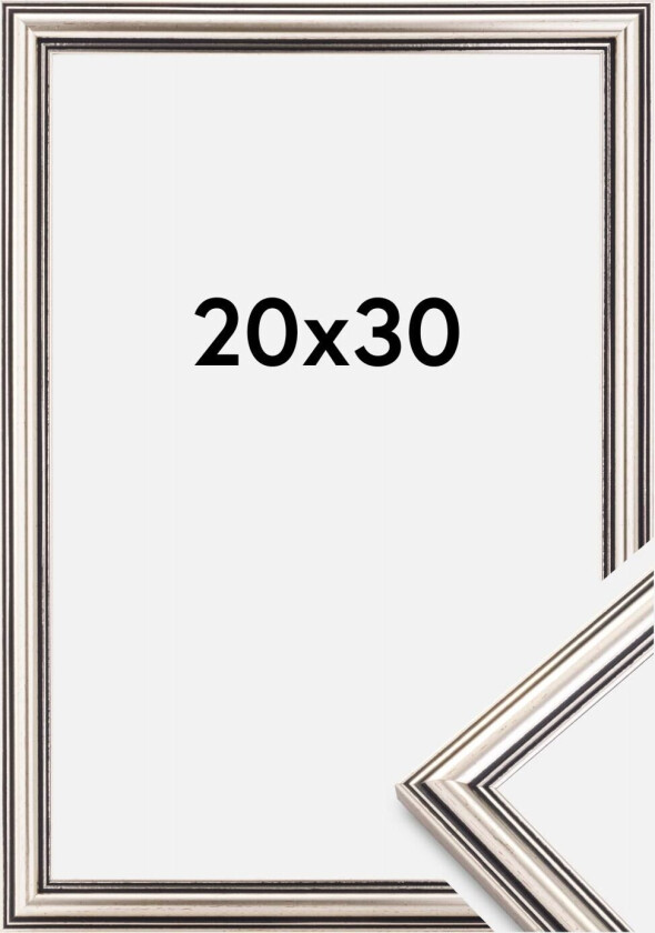 Focus Ramme Tango Sølv 20x30 Cm