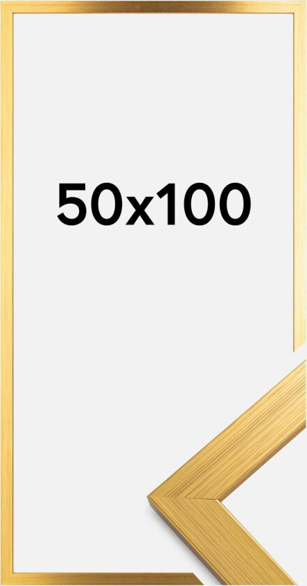 Ramme Gold Wood 50x100 Cm