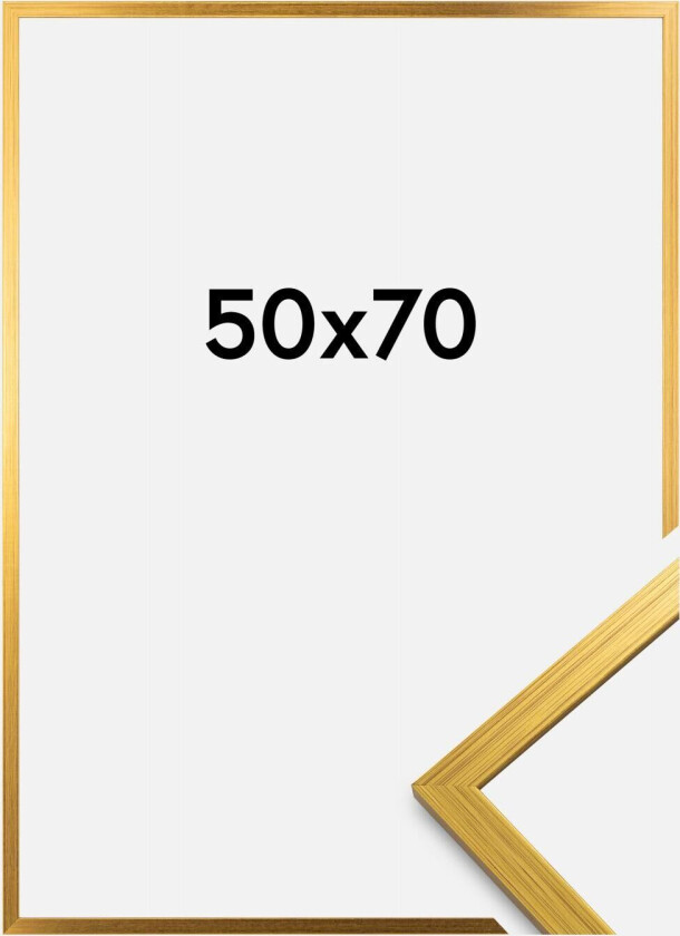 Ramme Edsbyn Gull 50x70 Cm