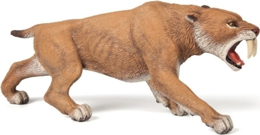 55022, 3 År, Dinosaurer, Flerfarget, Pvc