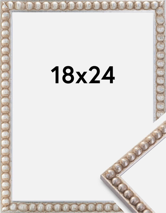 Ramme Sylvia Sølv 18x24 Cm
