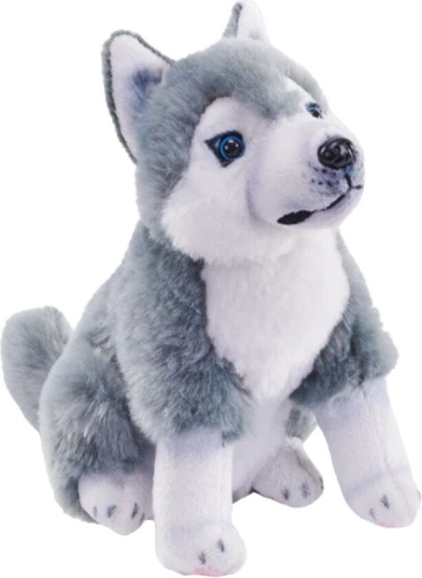 27514, Leke Hund, Gir Fra Seg Lyd