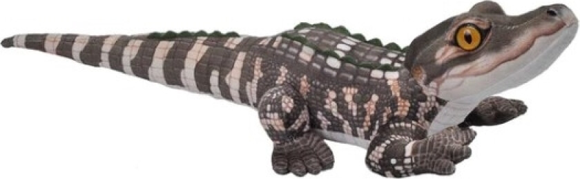 Mini Alligator, Leke Krokodille