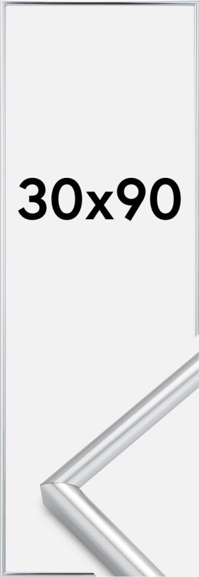 Ramme Galeria Sølv 30x90 Cm