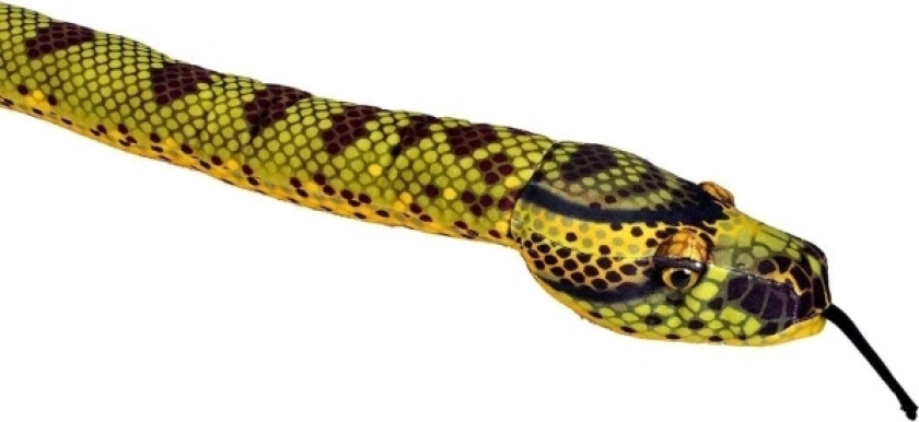 Anaconda, Leke Slange