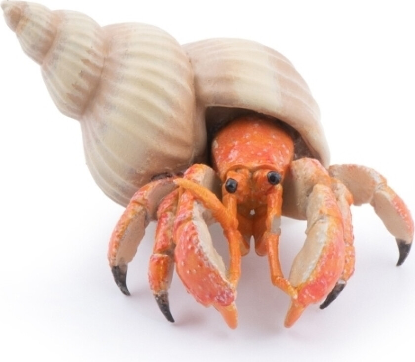 Hermit Crab, Flerfarget, 1 Stykker