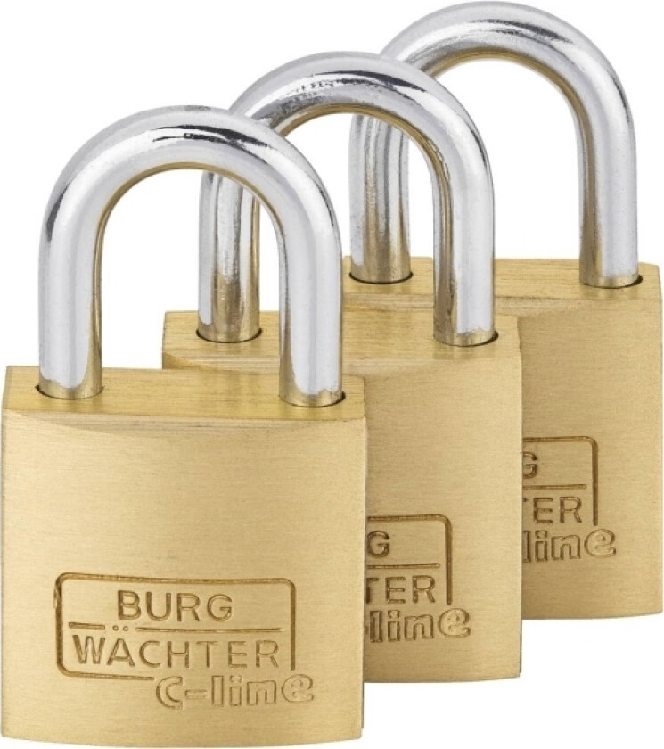 29921 Hængelås 25.00 Mm Identiske Messing Nøglelås