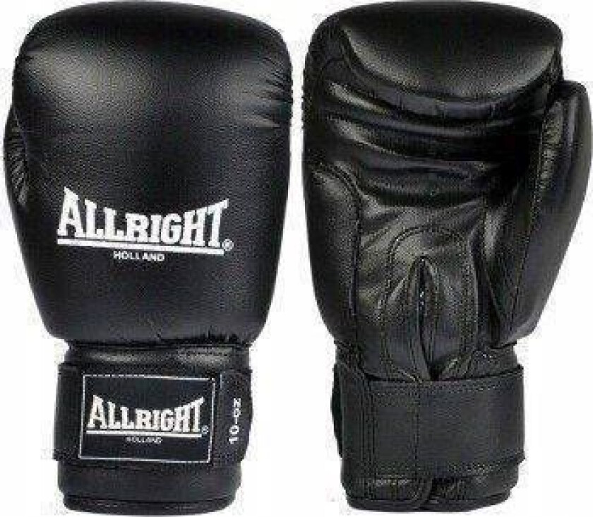 Training Pro Boksehansker 10Oz Universal