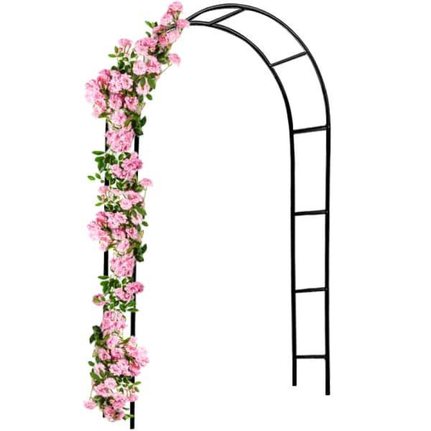 Rosebue 240 x 140 x 37 cm