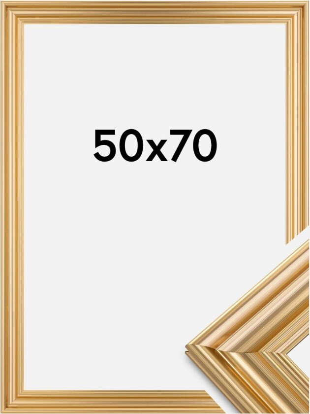 Focus Ramme Charleston Gull 50x70 Cm