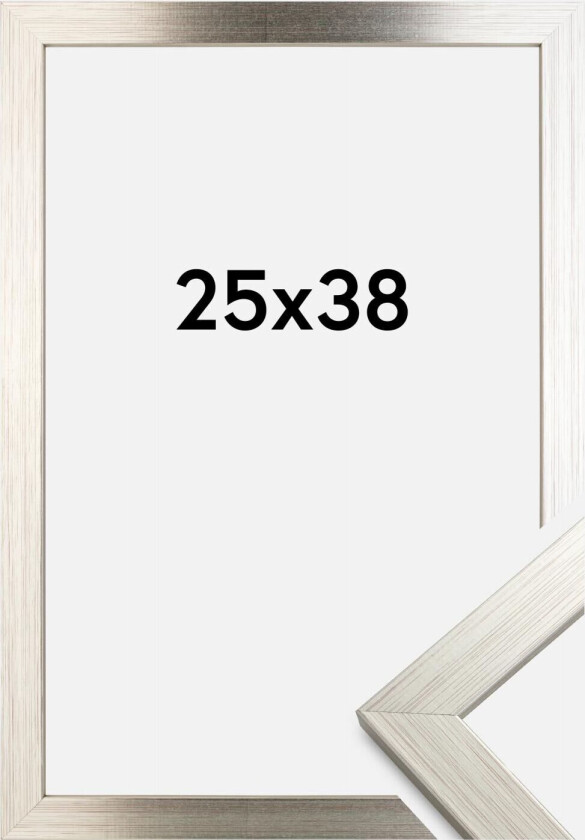 Ramme Silver Wood 25x38 Cm