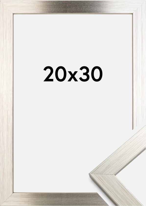 Ramme Silver Wood 20x30 Cm