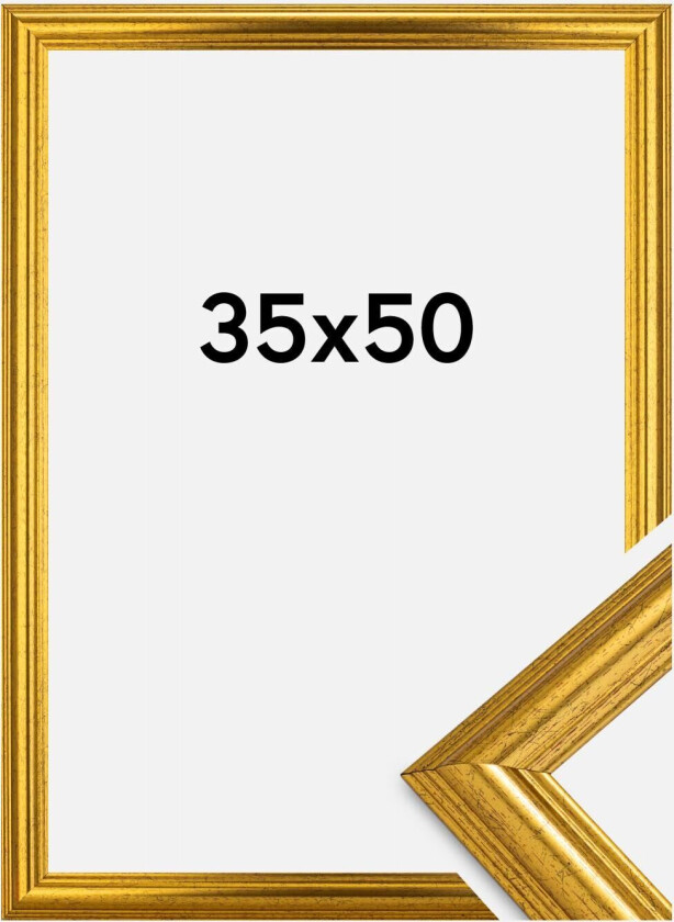 Ramme Västkusten Akrylglass Gull 35x50 Cm