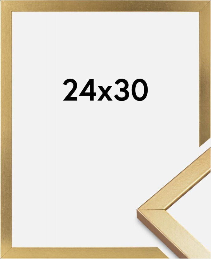 Ramme Minerva Akrylglass Gull 24x30 Cm