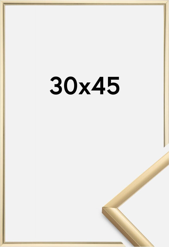 Ramme New Lifestyle Gull 30x45 Cm