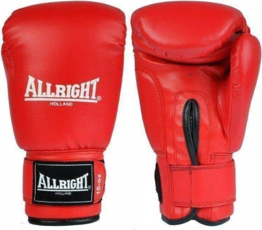 Training Pro Boksehansker 12Oz Universal