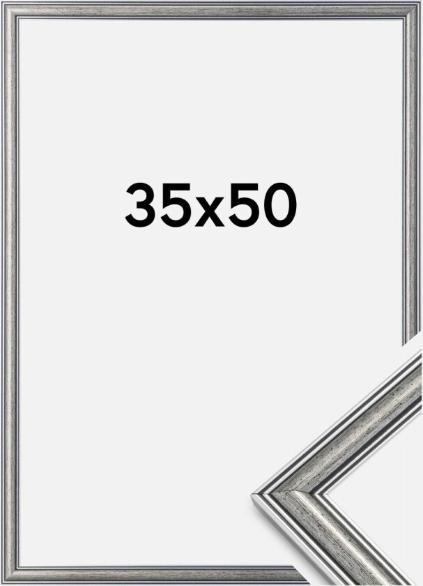 Ramme Frigg Sølv 35x50 Cm