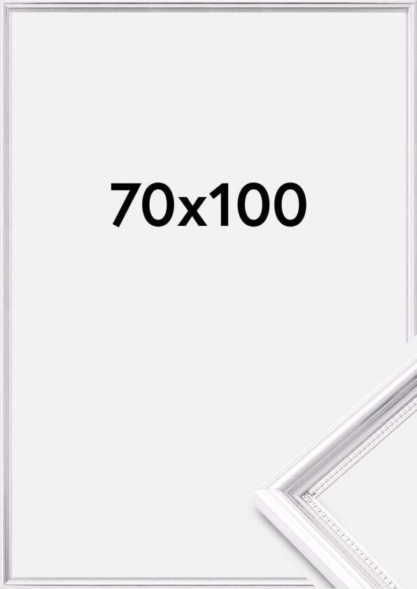 Ramme Gala Akrylglass Sølv 70x100 Cm