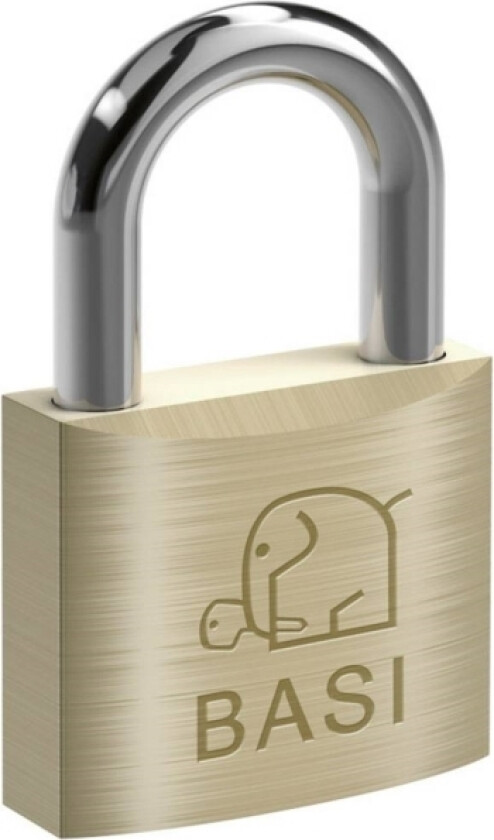 6120-2500 Hængelås Forskellige