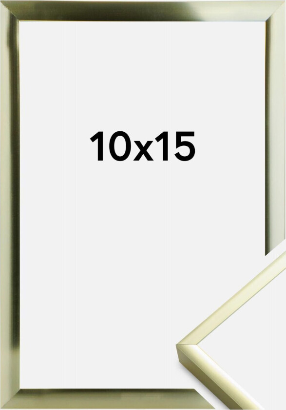 Ramme Poster Aluminum Gold 10x15 Cm