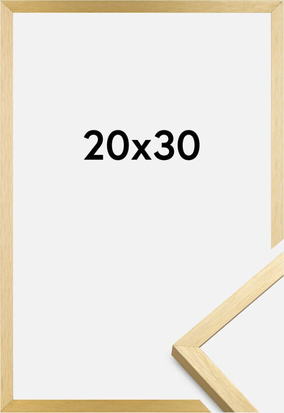 Ramme Chair Gull 20x30 Cm