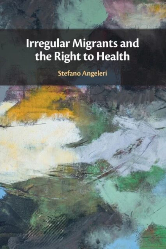Irregular Migrants and the Right to Health av Stefano (Queen's University Belfast) Angeleri