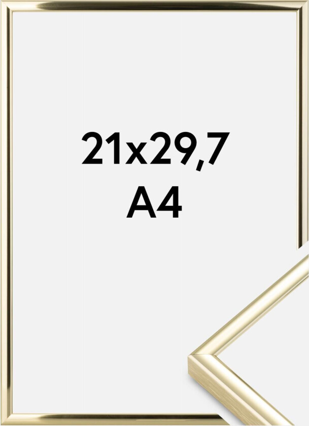 Ramme  Premium Classic Gull 21x29,7 Cm (A4)