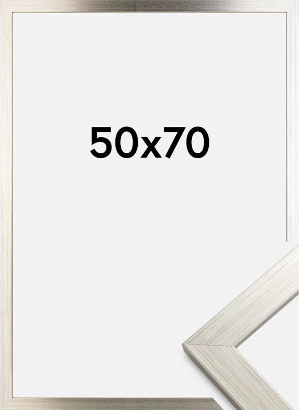 Ramme Silver Wood 50x70 Cm