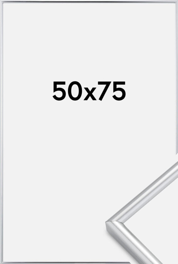 Ramme Galeria Sølv 50x75 Cm