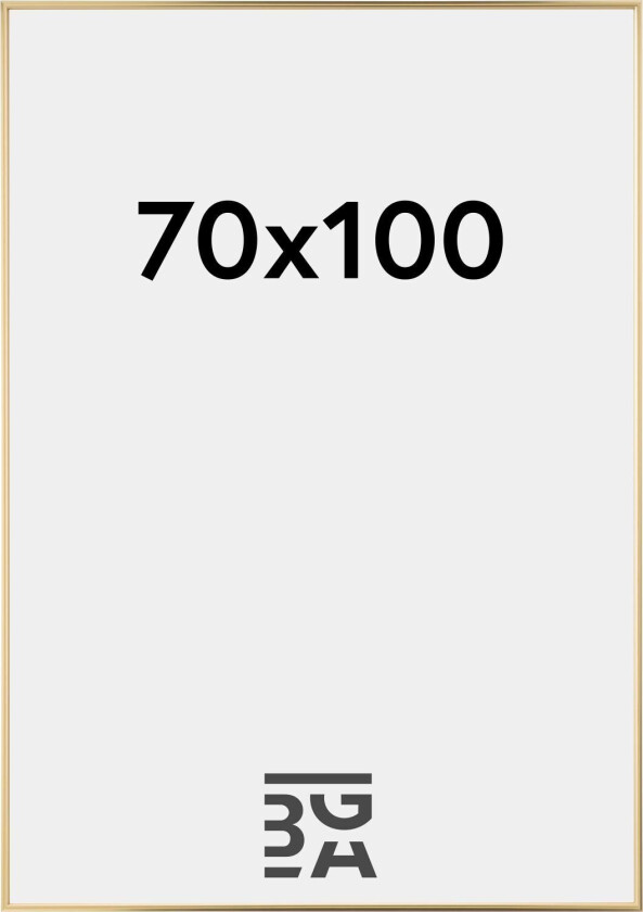 Ramme Hipster Akrylglass Gull 70x100 Cm