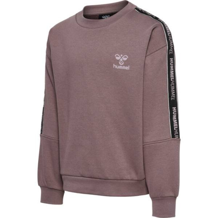 Shine Sweatshirt Sparrow