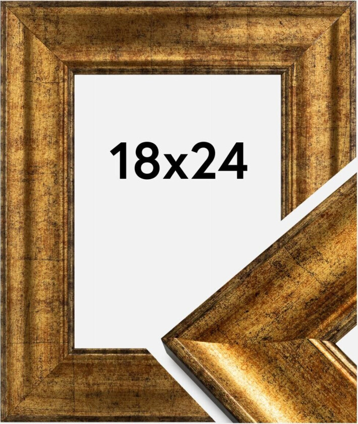 Ramme Saltsjöbaden Gull 18x24 Cm